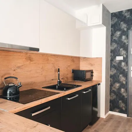 Apartament16 Zrodlana Mountainaparts Swieradow-Zdroj Exterior photo